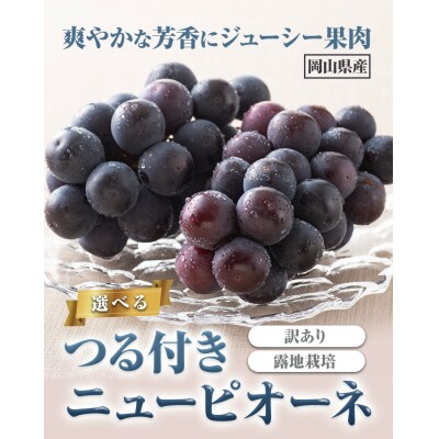 訳ありつる付きニューピオーネ2房530g以上《9月上旬-10月下旬頃出荷》配送不可地域あり