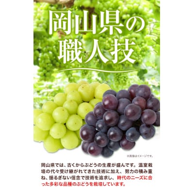 つる付きニューピオーネ2房580g以上《9月上旬-10月下旬頃出荷》配送不可地域あり