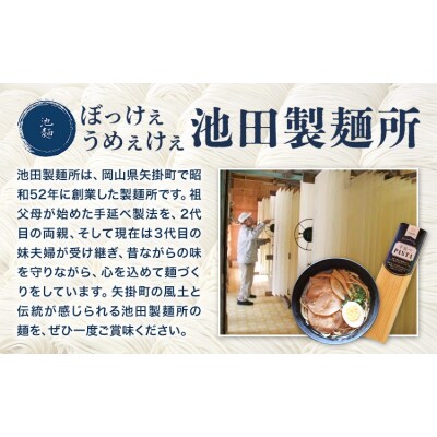 手延べラーメン 12食セット 池田製麺所《30日以内に出荷予定(土日祝除く)》
