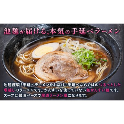 手延べラーメン 12食セット 池田製麺所《30日以内に出荷予定(土日祝除く)》