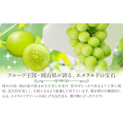 シャインマスカット ぶどう 箱入り 2房 中嶋ぶどう園《9月上旬-10月下旬頃出荷》岡山県 矢掛町