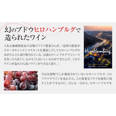 酒 日本ワイン 750ml 2本 矢掛放送 岡山県矢掛町《30日以内に出荷予定(土日祝除く)》