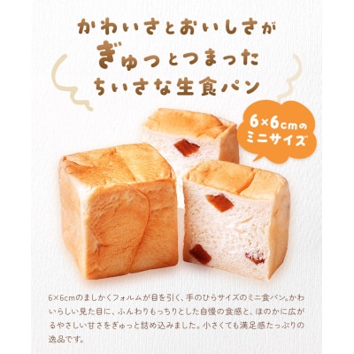 侍が恋する ましかくミニ生食パン 6個 侍が恋するパン屋《30日以内に出荷予定(土日祝除く)》
