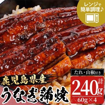 鹿児島県産 うなぎ 蒲焼 240g(60g×4袋) 冷蔵