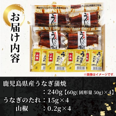 鹿児島県産 うなぎ 蒲焼 240g(60g×4袋) 冷蔵