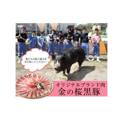 レンジでチン!金の桜黒豚 4食分「黒豚丼(180g×4袋)」