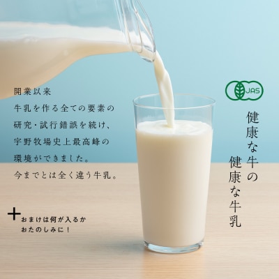 【定期便 3ヶ月】 最高峰の牛乳 2本(900ml×2本) お楽しみ おまけ付き