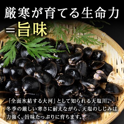 天塩町名産冷凍しじみ[特大サイズ](700g)2パック入り