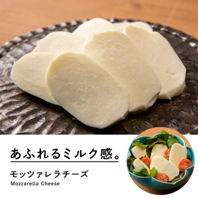 べこちちFACTORY★モッツァレラチーズセット