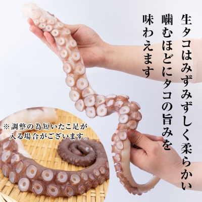 北海道 ☆天塩町産たこ足1kg