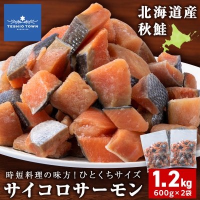 サイコロサーモン 600g×2袋 合計1.2kg 秋鮭ダイスカット さけ サケ 冷凍 魚