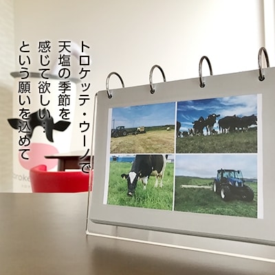 飲むミルクスイーツ!トロケッテ・ウーノ＜4種8本セット＞合計8本【BK31】