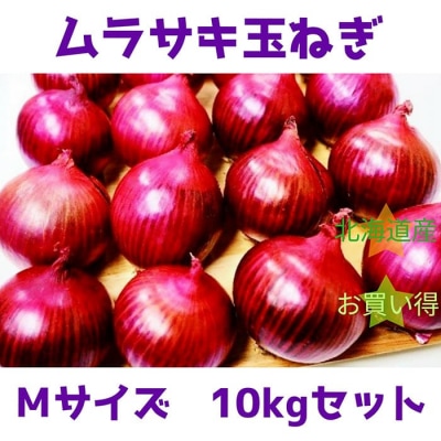 北海道岩見沢市産 紫玉ねぎMサイズ10kg