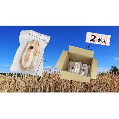 【定期便3】キタノカオリ小麦のカンパーニュ2本セットを3カ月連続お届け
