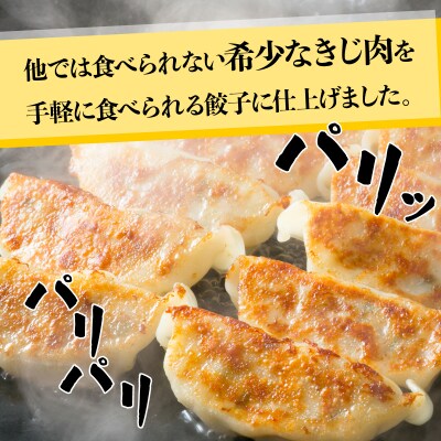 宝きじのぎょうざ(15個入り×2袋)　