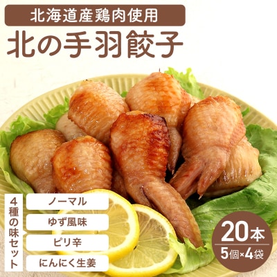 北海道産鶏肉を使った手羽餃子20個セット(5個×4袋)≪配送地域限定≫