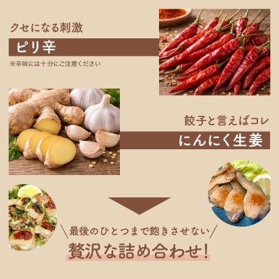 北海道産鶏肉を使った手羽餃子20個セット(5個×4袋)≪配送地域限定≫