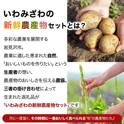 いわみざわの新鮮農産物セット(5or6月～11月 全6回)※定期便