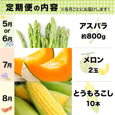 いわみざわの新鮮農産物セット(5or6月～11月 全6回)※定期便
