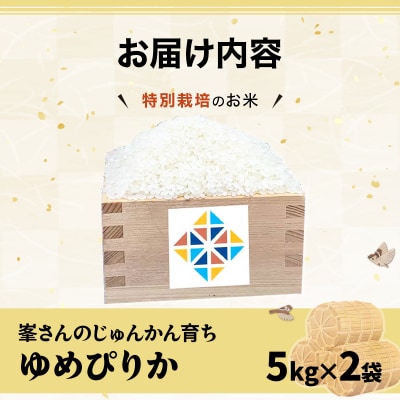 令和7年産!岩見沢産 特別栽培米 峯さんの「ゆめぴりか」10kg(5kg×2)