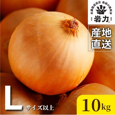 北海道岩見沢産たまねぎ 10kg (市場の目利き・岩力ブランド) 【a142-006】