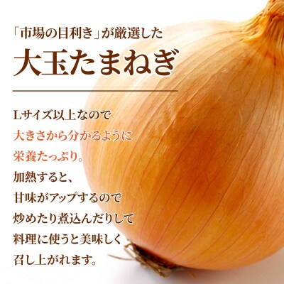 北海道岩見沢産たまねぎ 10kg (市場の目利き・岩力ブランド) 【a142-006】