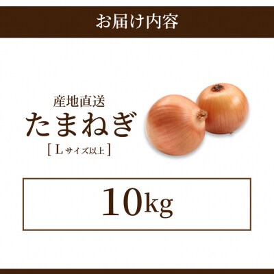 北海道岩見沢産たまねぎ 10kg (市場の目利き・岩力ブランド) 【a142-006】
