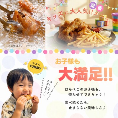 北海道産鶏肉を使ったチキンバー【北のやみつきチキンバー】1kg [a136-006]