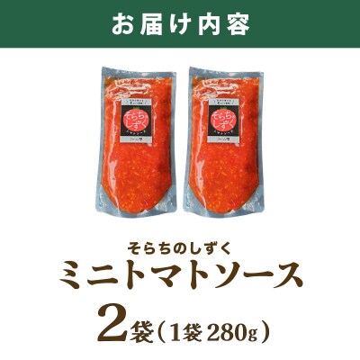 空知の恵みをギュッと凝縮 そらちのしずくトマトソース 2袋【a127-006】