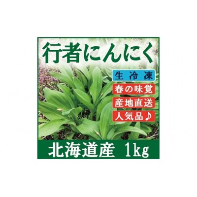 北海道岩見沢市産 令和8年度産 行者にんにく葉(冷凍) 1kg