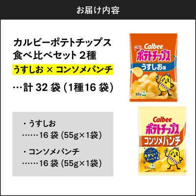 2種食べ比べ【うすしお×コンソメパンチ】計32袋　K194-002_09