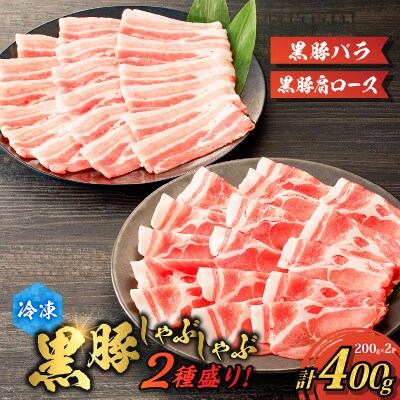 【ご自宅用】黒豚しゃぶしゃぶ2種盛!　K151-005_01