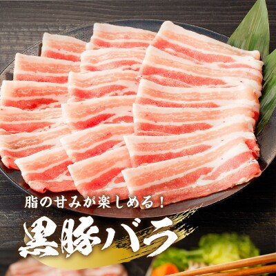 【ご自宅用】黒豚しゃぶしゃぶ2種盛!　K151-005_01