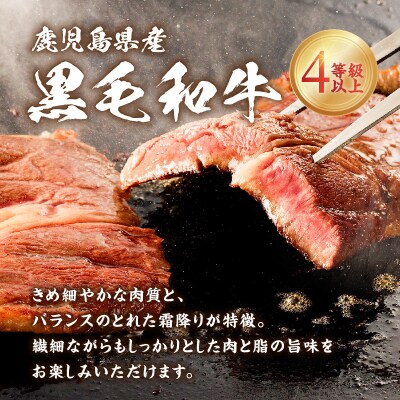 鹿児島県産 黒毛和牛ステーキ 600g　K151-010_01