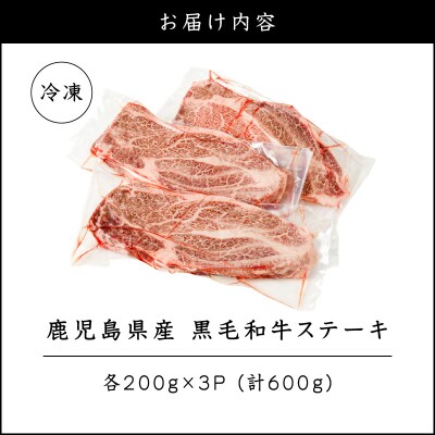鹿児島県産 黒毛和牛ステーキ 600g　K151-010_01