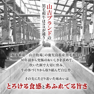 福永畜産 山吉牧場 鹿児島県産黒毛和牛 肩ロース すき焼き用　K326-004