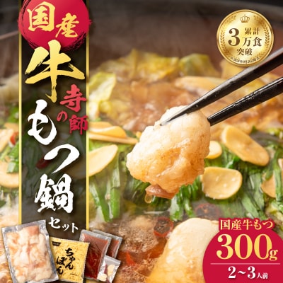 寺師の国産牛もつ鍋セット 2～3人前　K005-002
