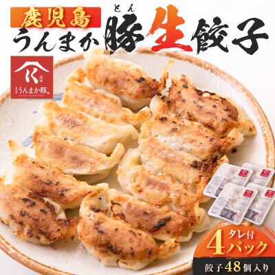 鹿児島うんまか豚生餃子4パック(餃子48個入り・タレ付)　K005-003_01