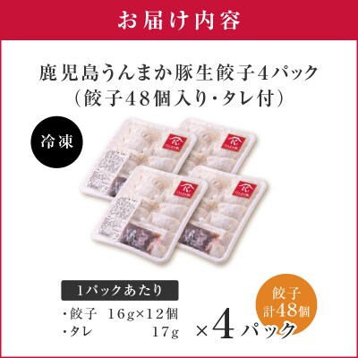 鹿児島うんまか豚生餃子4パック(餃子48個入り・タレ付)　K005-003_01