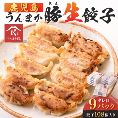 鹿児島うんまか豚生餃子9パック(餃子108個入り・タレ付)　K005-003_02