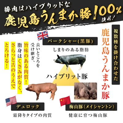 鹿児島うんまか豚生餃子9パック(餃子108個入り・タレ付)　K005-003_02