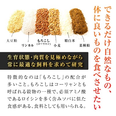 鹿児島うんまか豚生餃子9パック(餃子108個入り・タレ付)　K005-003_02