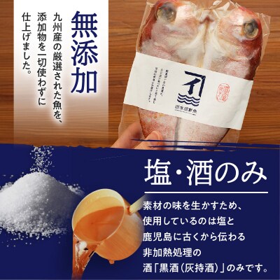 季節の一夜干し詰合せ(6種)　K294-001