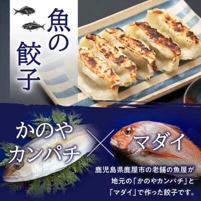 出水田鮮魚のおさかな餃子(8個×4パック)　K294-002