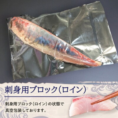鹿児島県産カンパチ 約3.5kg 刺身用ブロック(ロイン) 活〆※真空包装　K294-003_03