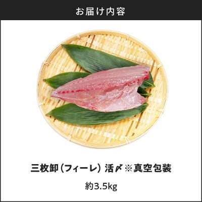 鹿児島県産カンパチ 約3.5kg 三枚卸(フィーレ) 活〆※真空包装　K294-003_02