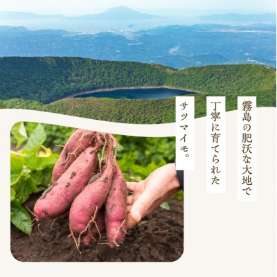 ノンフライ芋チップス　K300-009