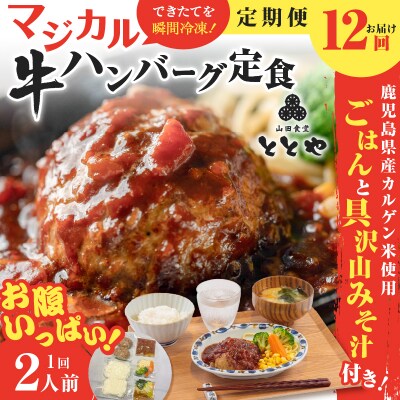【全12回定期便】マジカル冷凍牛ハンバーグ定食　K258-T03_c