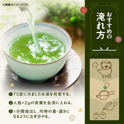 かごしま知覧茶 (100g×12袋)　K346-001_06