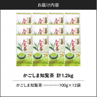かごしま知覧茶 (100g×12袋)　K346-001_06